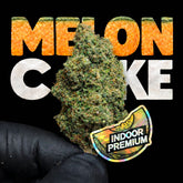 MELON CAKE | CBD | INDOOR HYDRO