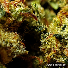 ZUSHI | STR ++ 50% 🤯 | INDOOR